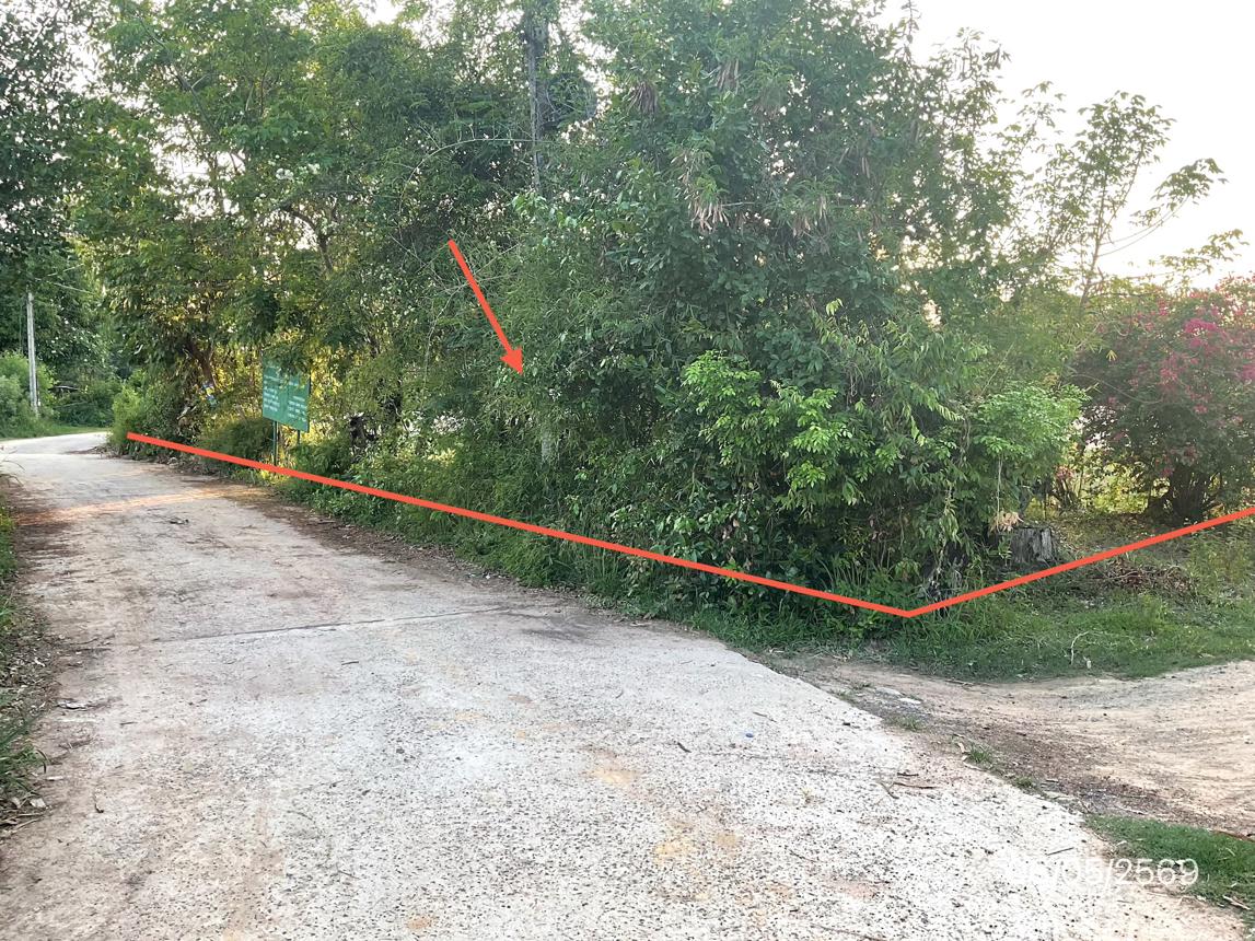 picture LAND 985 Sq.w. Khuang Nai Ubon Ratchathani for 1.4M - 13/25