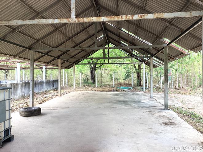 รูป ฟาร์ม 910.1 ตร.วา แก่งกระจาน เพชรบุรี 963,000 - รูปที่ 11/25