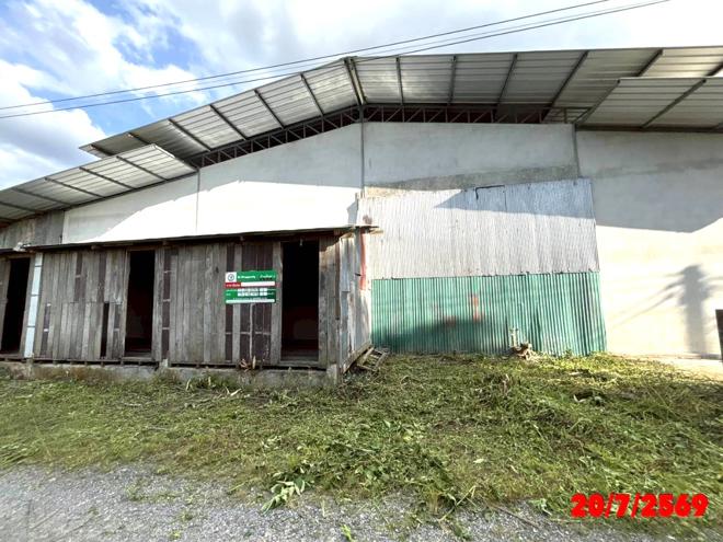 picture FACTORY 142 Sq.w. Thung Song Nakhon Sri Thammarat for 4.1M - 4/31