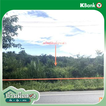 รูป ที่ดินว่างเปล่า 152.3 ตร.วา บางขัน นครศรีธรรมราช 1.6M - รูปที่ 19/21