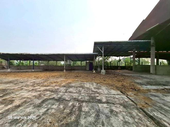 รูป โกดัง 979 ตร.วา เชียงแสน เชียงราย 6.1M - รูปที่ 12/41
