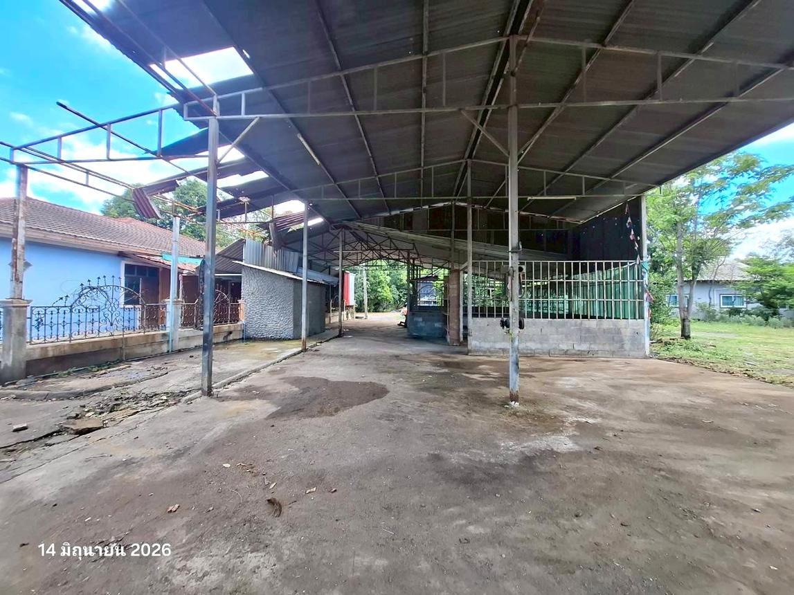 รูป บ้านเดี่ยว 6927 ตร.วา หนองบัว นครสวรรค์ 3.8M - รูปที่ 49/61