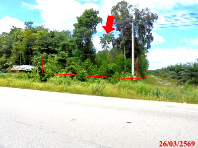 Land for sale Narathiwat : LAND 4183 Sq.w. Muang Narathiwat Narathiwat for 3.2M