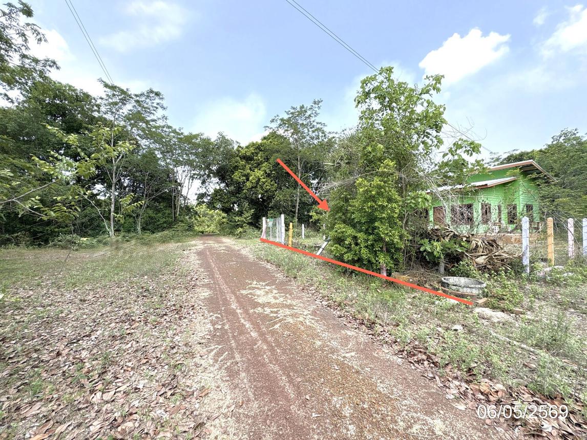 รูป บ้านเดี่ยว 90 ตร.วา สว่างวีระวงศ์ อุบลราชธานี 819,000 - รูปที่ 25/29