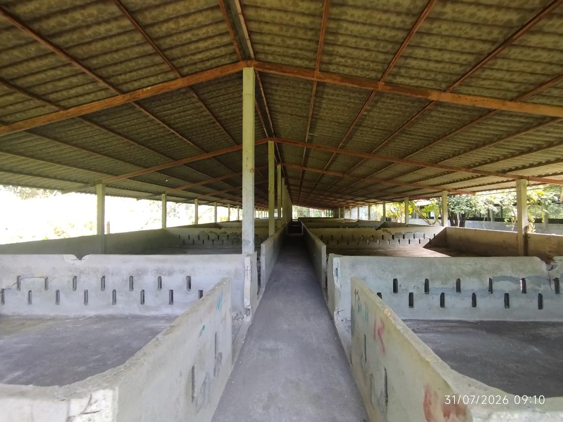 รูป ฟาร์ม 2165 ตร.วา กะปง พังงา 4M - รูปที่ 26/35