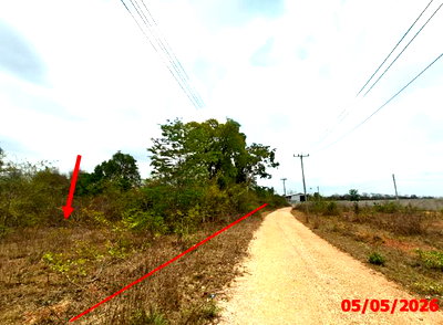 ที่ดิน ลำปาง : ที่ดินว่างเปล่า 920 ตร.วา บ้านสวนอรุณรุ่ง เมืองลำปาง ลำปาง 1.3M