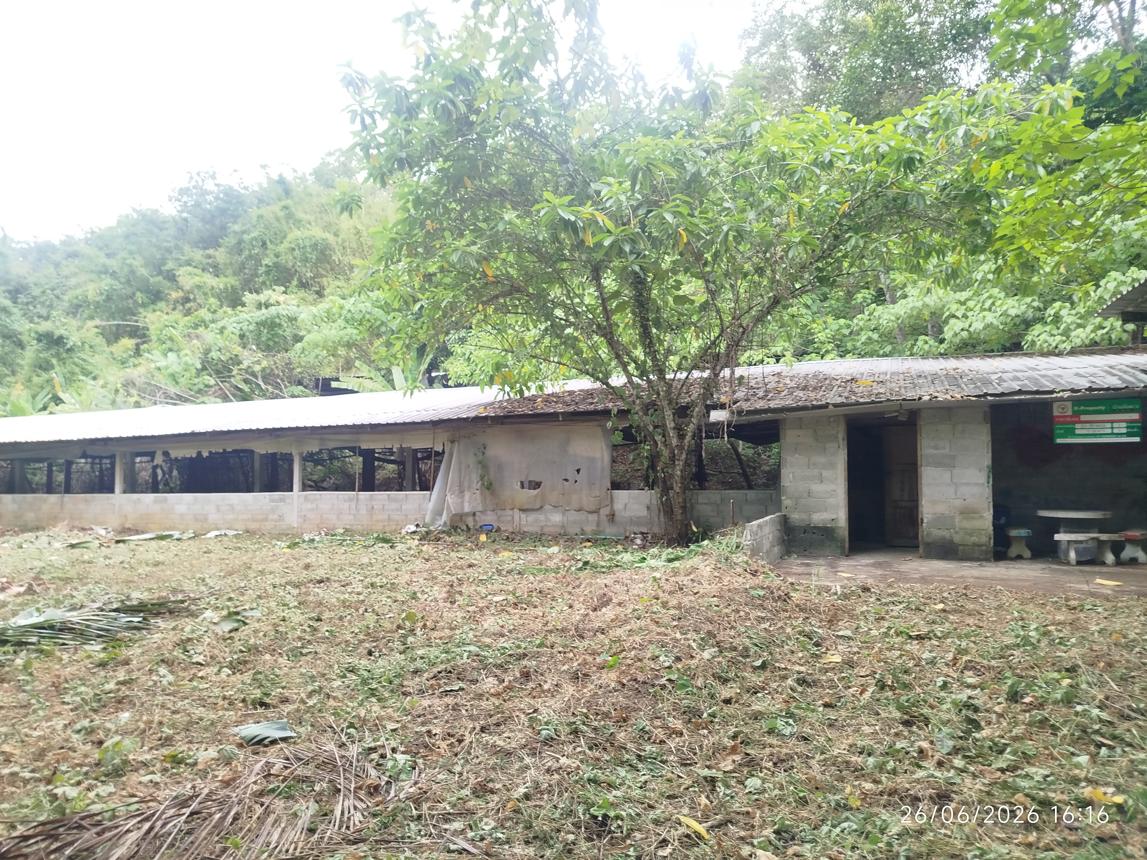 รูป บ้านเดี่ยว 4455.3 ตร.วา ตะกั่วทุ่ง พังงา 4.4M - รูปที่ 20/37