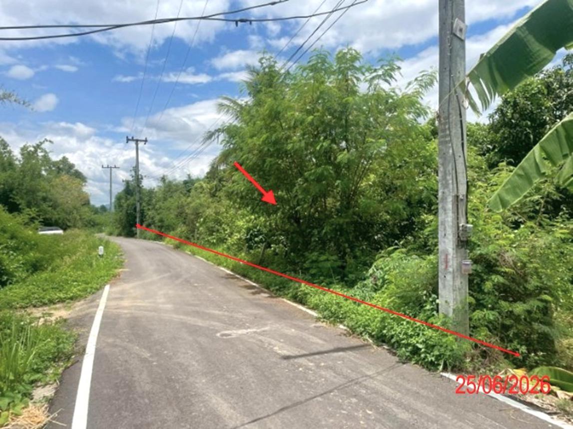 picture LAND 1248 Sq.w. Ban Hong Lamphun for 712,000 - 7/13