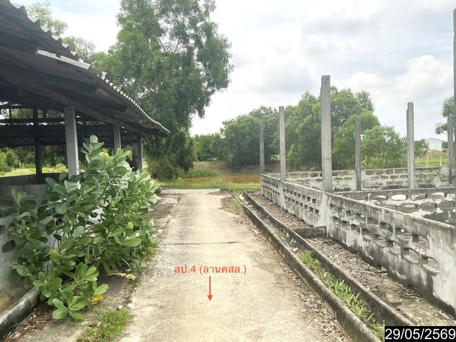 รูป ฟาร์ม 3846 ตร.วา กระสัง บุรีรัมย์ 3.3M - รูปที่ 16/35