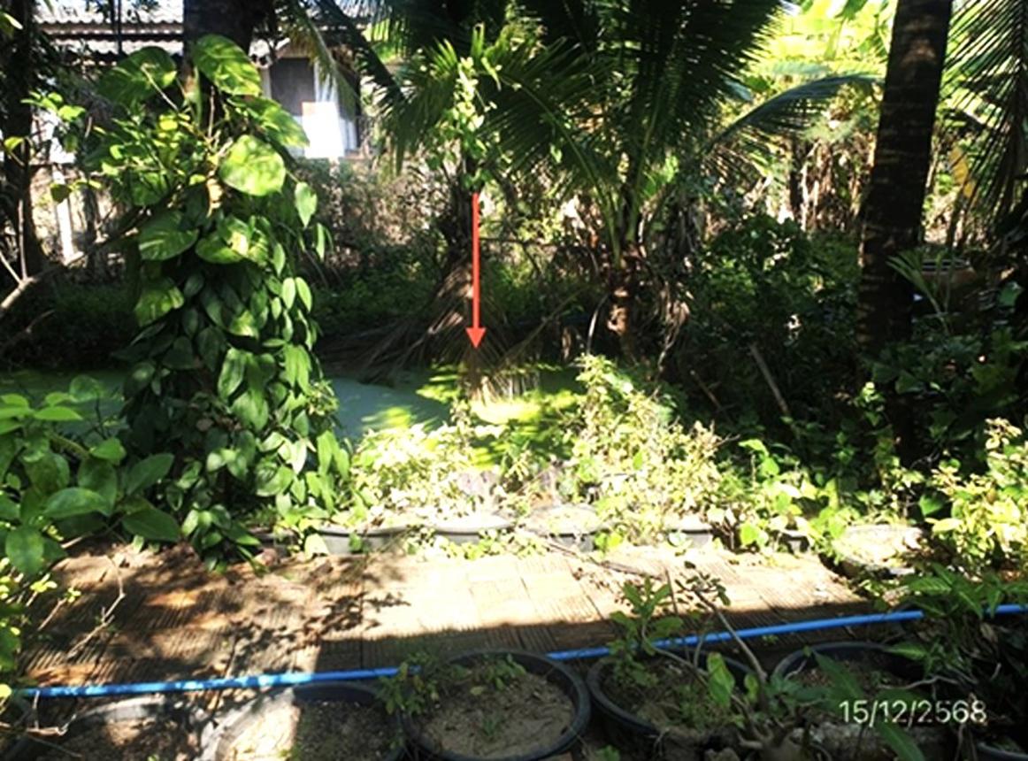 รูป บ้านเดี่ยว 864 ตร.วา เมืองลำพูน ลำพูน 5.2M - รูปที่ 15/21