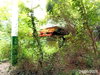 listing thumbnail image 13