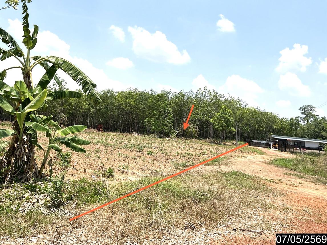 รูป ที่ดินว่างเปล่า 8400 ตร.วา ศรีวิไล บึงกาฬ 2.2M - รูปที่ 14/25