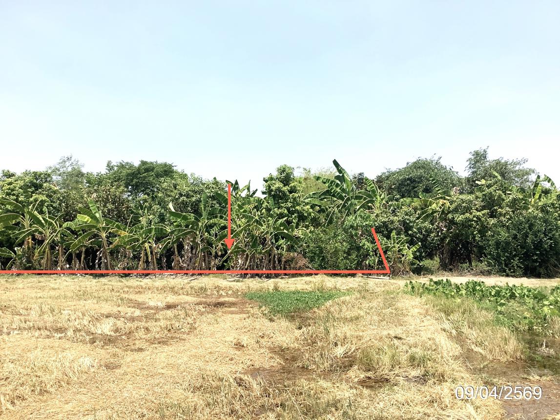 รูป ที่ดินว่างเปล่า 4246 ตร.วา คลองขลุง กำแพงเพชร 4.4M - รูปที่ 15/25