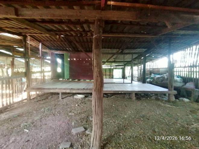 รูป บ้านเดี่ยว 1223 ตร.วา จัตุรัส ชัยภูมิ 1.5M - รูปที่ 11/57