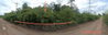 listing thumbnail image 13
