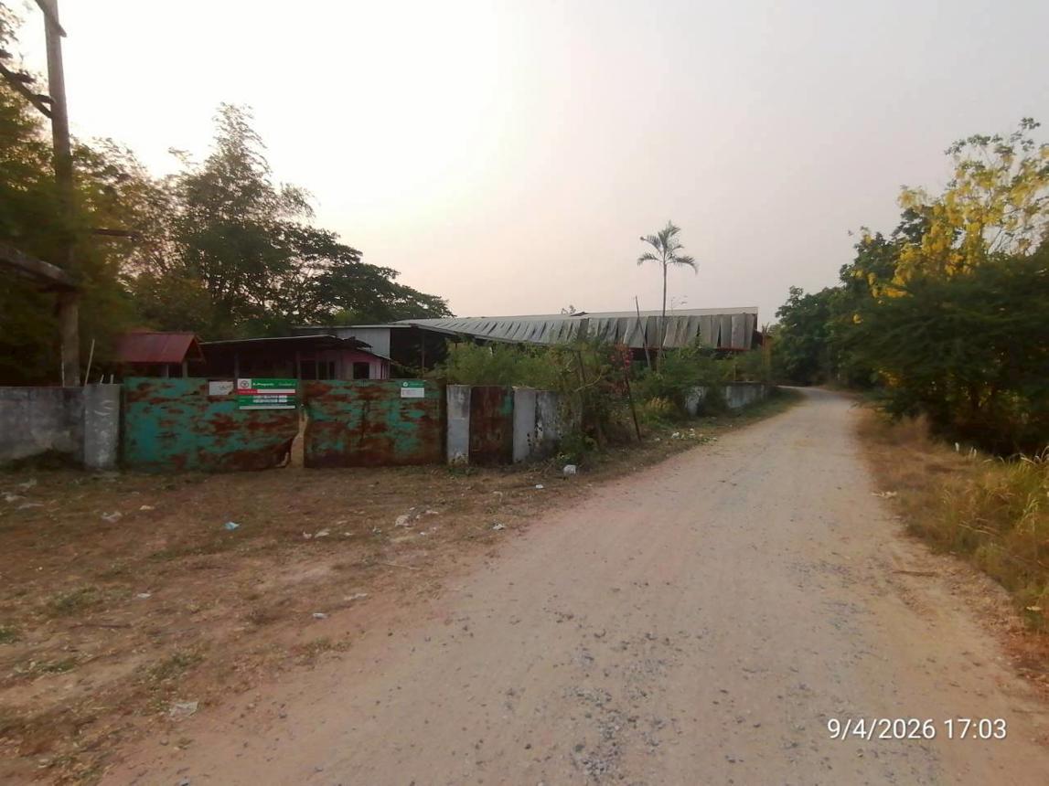 รูป บ้านเดี่ยว 810 ตร.วา ชุมแพ ขอนแก่น 3.3M - รูปที่ 55/59