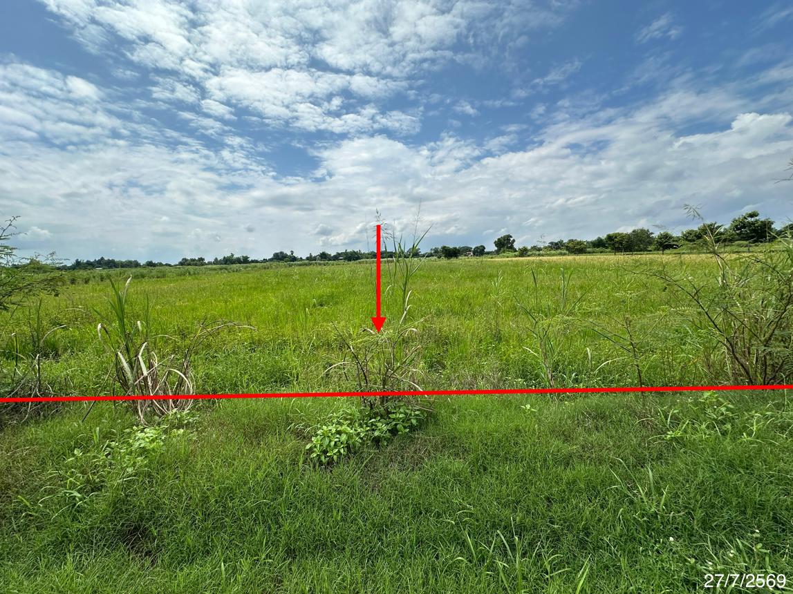 picture LAND 2520 Sq.w. Wang Thong Phitsanulok for 1.4M - 9/19
