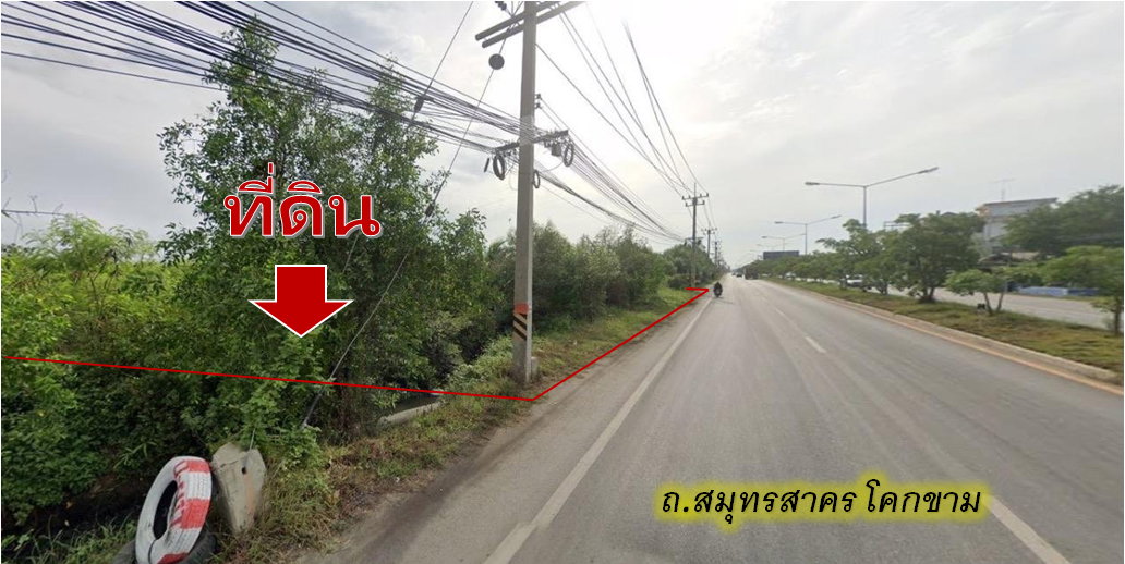 รูป ขาย ที่ดินสีเขียว สมุทรสาคร-โคกขาม ใกล้แม่น้ำท่าจีน 5-2-4 ไร่ เหมาะทำโกดัง - รูปที่ 2/5