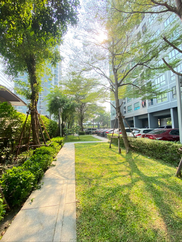 รูป ขายด่วน เจ้าของขายเอง รีโนเวทให้ใหม่ทั้งห้องก่อนส่งมอบ - รูปที่ 19/19