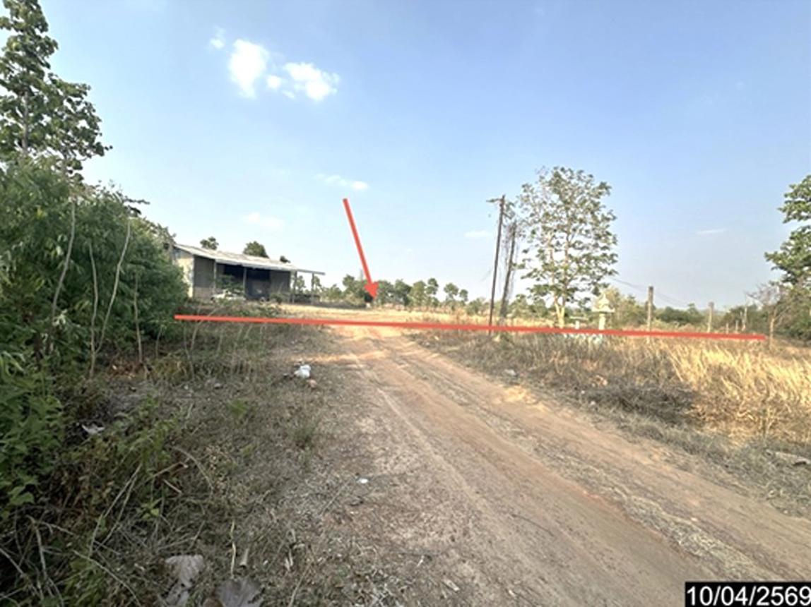 รูป โกดัง 4946 ตร.วา โพธิ์ไทร อุบลราชธานี 5.3M - รูปที่ 9/19