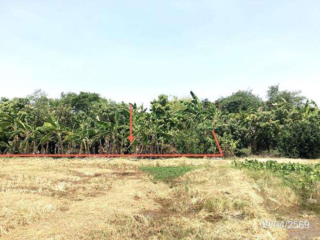 รูป ที่ดินว่างเปล่า 4246 ตร.วา คลองขลุง กำแพงเพชร 4.4M - รูปที่ 5/25