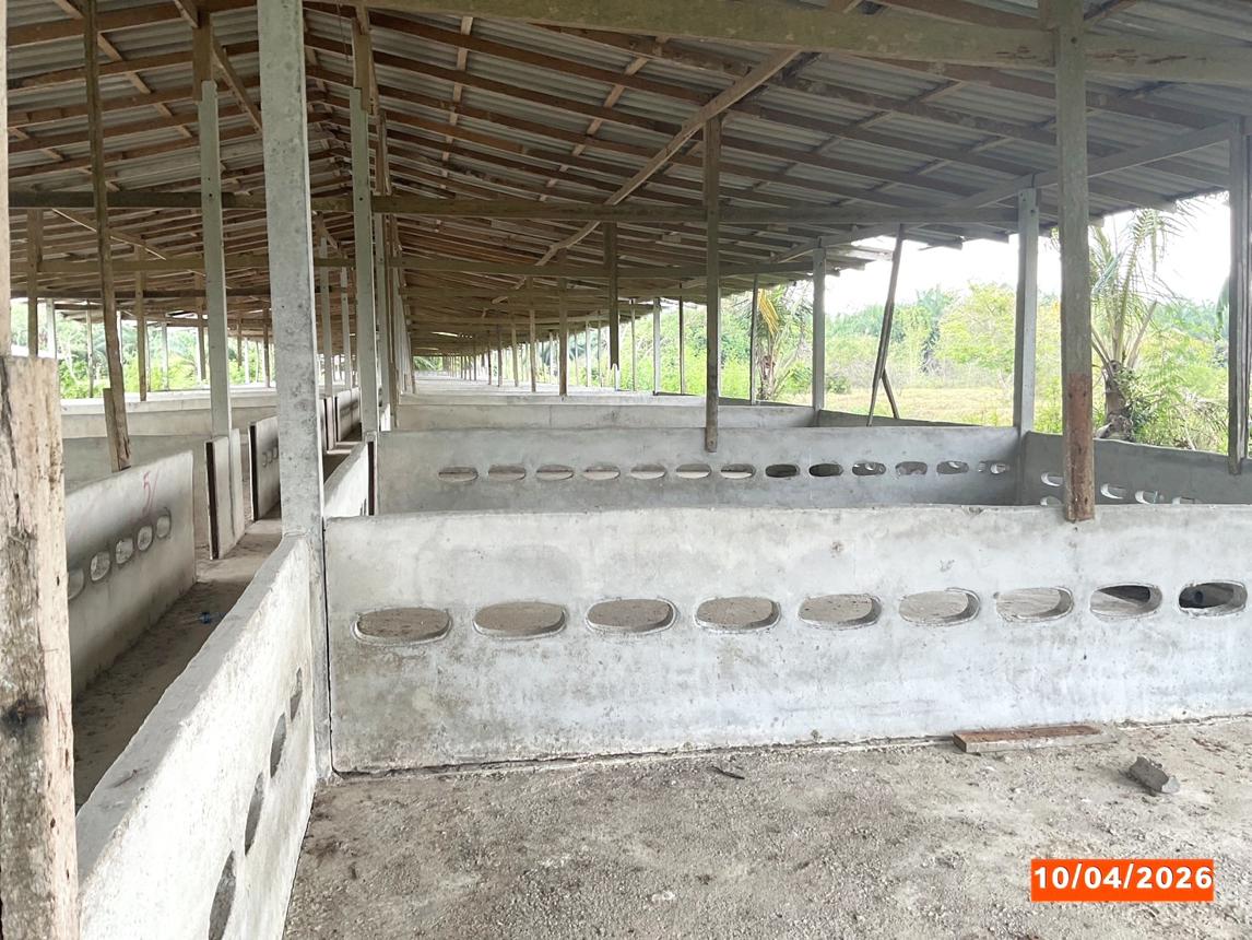 รูป ฟาร์ม 3649 ตร.วา เฉลิมพระเกียรติ นครศรีธรรมราช 8.1M - รูปที่ 31/37