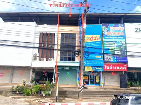 รูป อาคารพาณิชย์ 22.1 ตร.วา เมืองสุราษฎร์ธานี สุราษฎร์ธานี 3M - รูปที่ 32/35