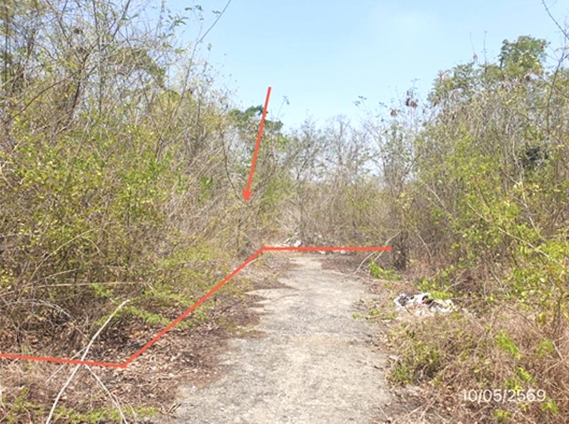 picture LAND 746 Sq.w. Mae Tha Lamphang for 996,000 - 12/25
