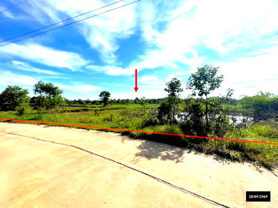 Land for sale Renu Nakhon Nakhon Phanom : LAND 6771 Sq.w. Renu Nakhon Nakhon Phanom for 2.7M