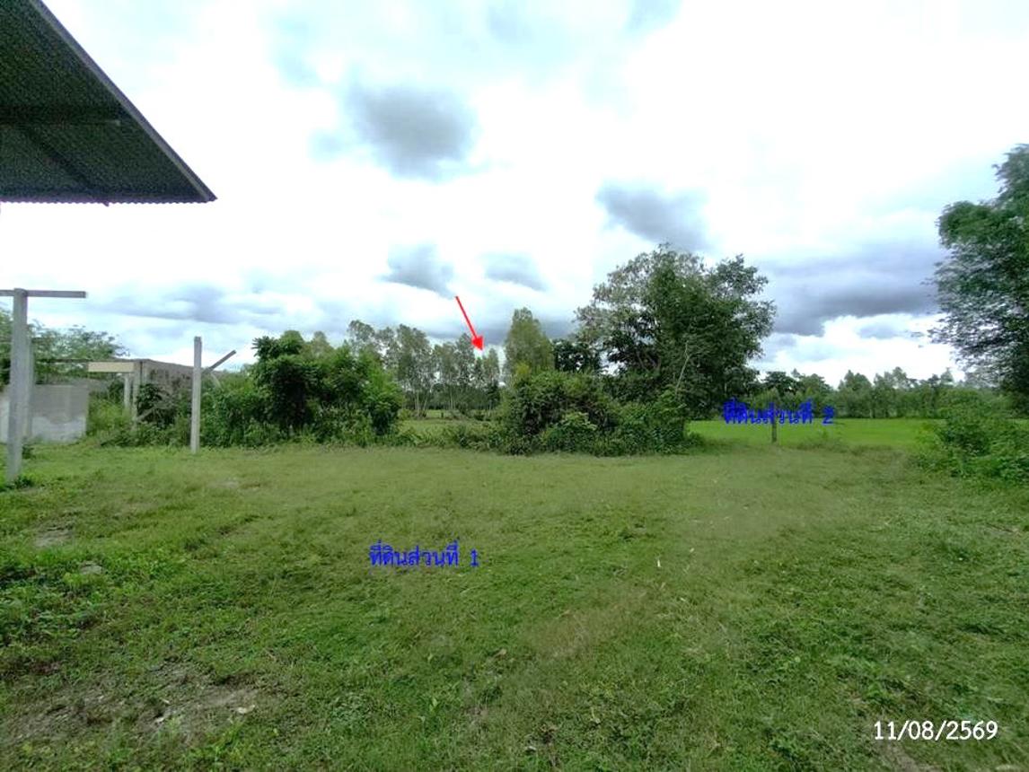 รูป บ้านเดี่ยว 2000 ตร.วา สว่างแดนดิน สกลนคร 2.3M - รูปที่ 28/35