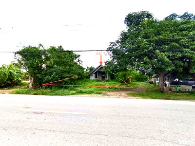 บ้านเดี่ยว หนองหญ้าปล้อง เพชรบุรี : บ้านเดี่ยว 150 ตร.วา หนองหญ้าปล้อง เพชรบุรี 918,000