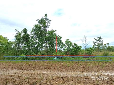 รูป ที่ดินว่างเปล่า 1292.7 ตร.วา เมืองพะเยา พะเยา 860,000 - รูปที่ 10/13