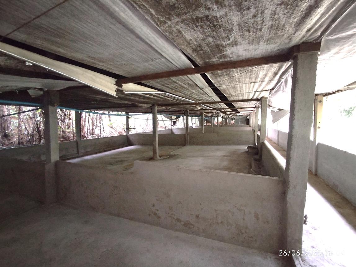 รูป บ้านเดี่ยว 4455.3 ตร.วา ตะกั่วทุ่ง พังงา 4.4M - รูปที่ 31/37