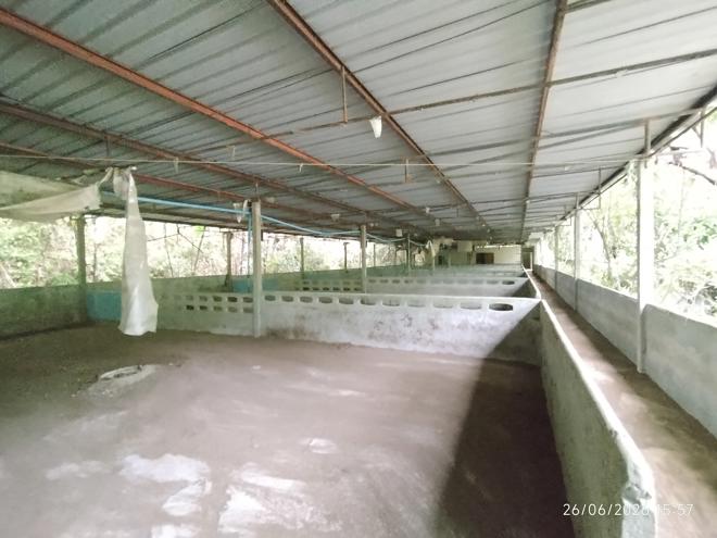 รูป บ้านเดี่ยว 4455.3 ตร.วา ตะกั่วทุ่ง พังงา 4.4M - รูปที่ 12/37