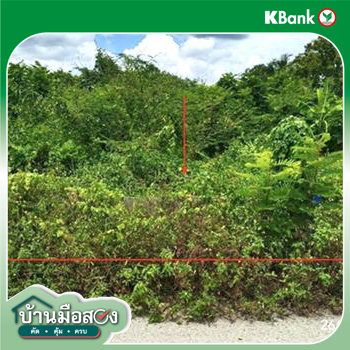 picture LAND 349.3 Sq.w. Dok Kham Tai Phayao for 1.2M - 19/21