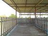 listing thumbnail image 23