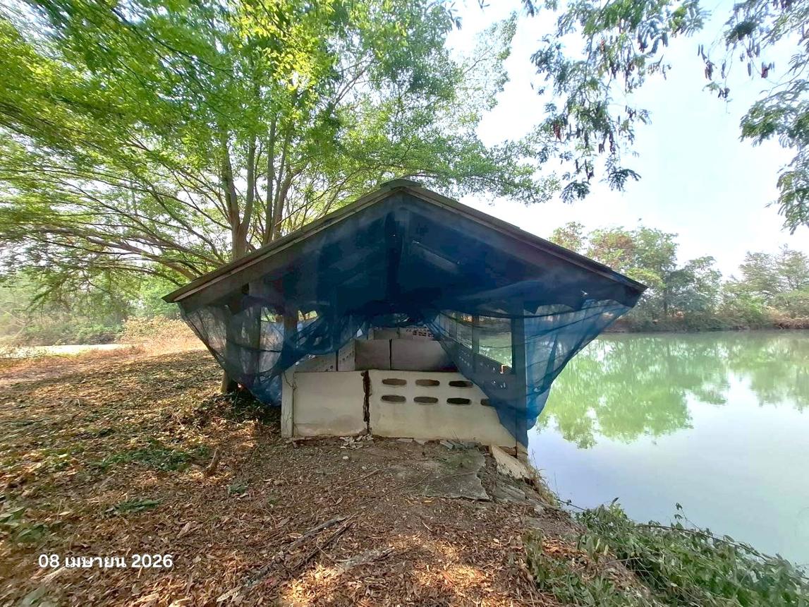รูป ฟาร์ม 9600 ตร.วา เก้าเลี้ยว นครสวรรค์ 12.6M - รูปที่ 27/39