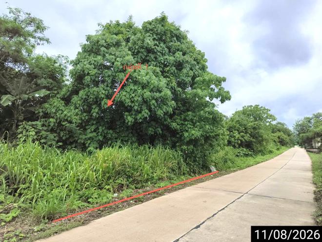 รูป ที่ดินว่างเปล่า 408.8 ตร.วา เมืองชุมพร ชุมพร 3.7M - รูปที่ 2/37