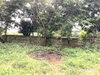 listing thumbnail image 24