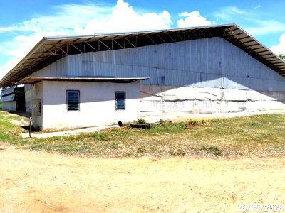 Factory for sale Nakhon Ratchasima : FACTORY 2362 Sq.w. Chalermphrakiet Nakhon Ratchasima for 9.7M