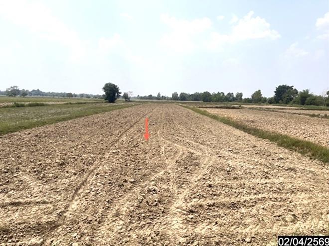 รูป ที่ดินว่างเปล่า 1315 ตร.วา หนองกุงศรี กาฬสินธุ์ 704,000 - รูปที่ 7/19
