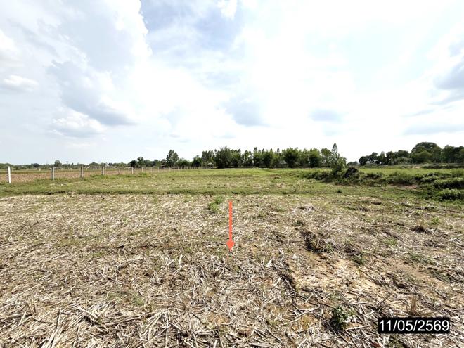 picture LAND 2621.3 Sq.w. Phon Khon Kaen for 1.2M - 6/17