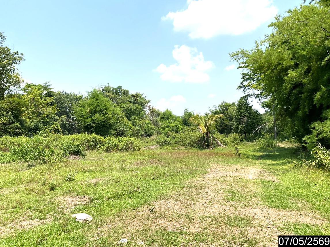 รูป ที่ดินว่างเปล่า 2302 ตร.วา ศรีวิไล บึงกาฬ 5.8M - รูปที่ 15/25