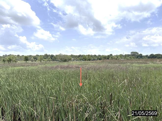 รูป ที่ดินว่างเปล่า 10280 ตร.วา ยางตลาด กาฬสินธุ์ 11M - รูปที่ 9/25