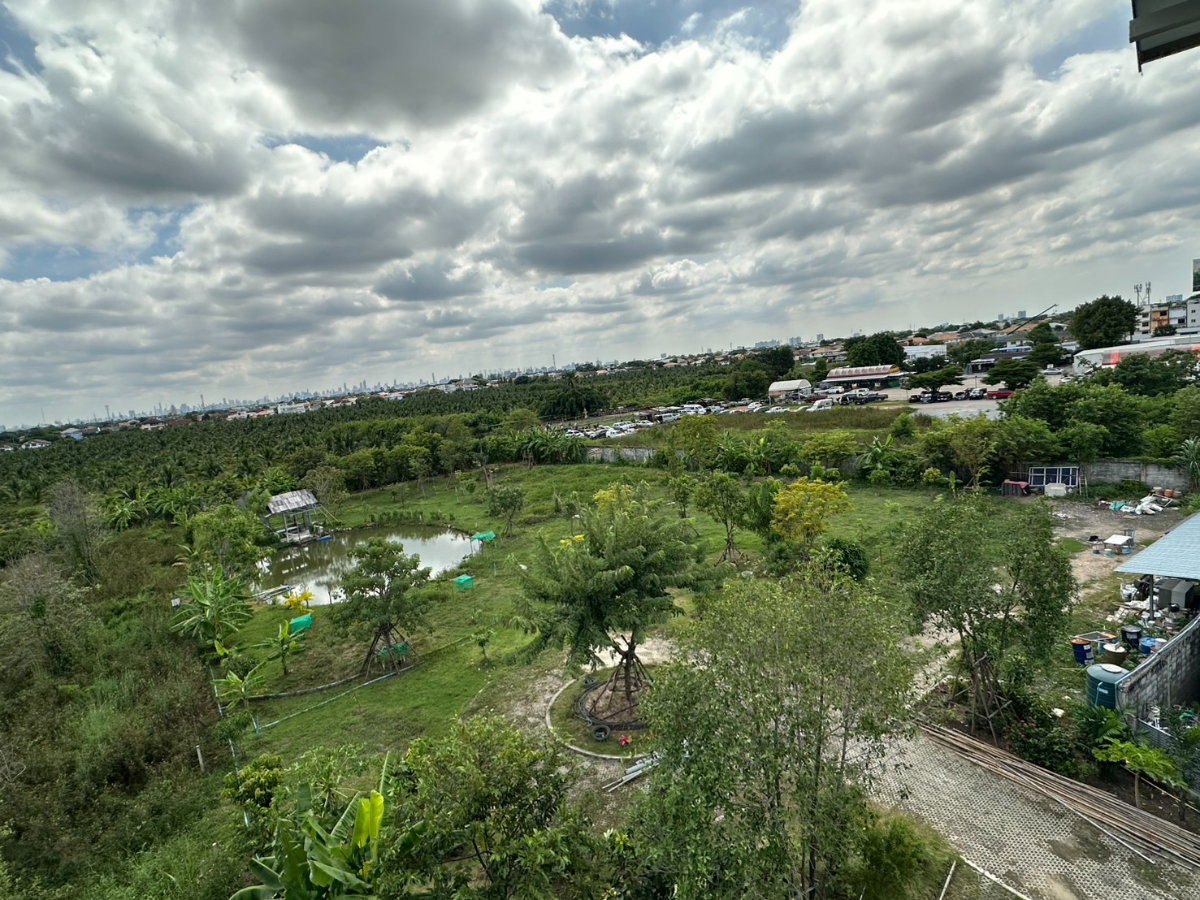 รูป ให้เช่า อาคารพาณิชย์ บ้านสวนบุญภามาลี พุทธมณฑลสาย 2 ขนาด 500 ตรว. 500 ตรม. 12 นอน 12 น้ำ 4 ชั้น จอดรถได้ 18 คัน - รูปที่ 12/23