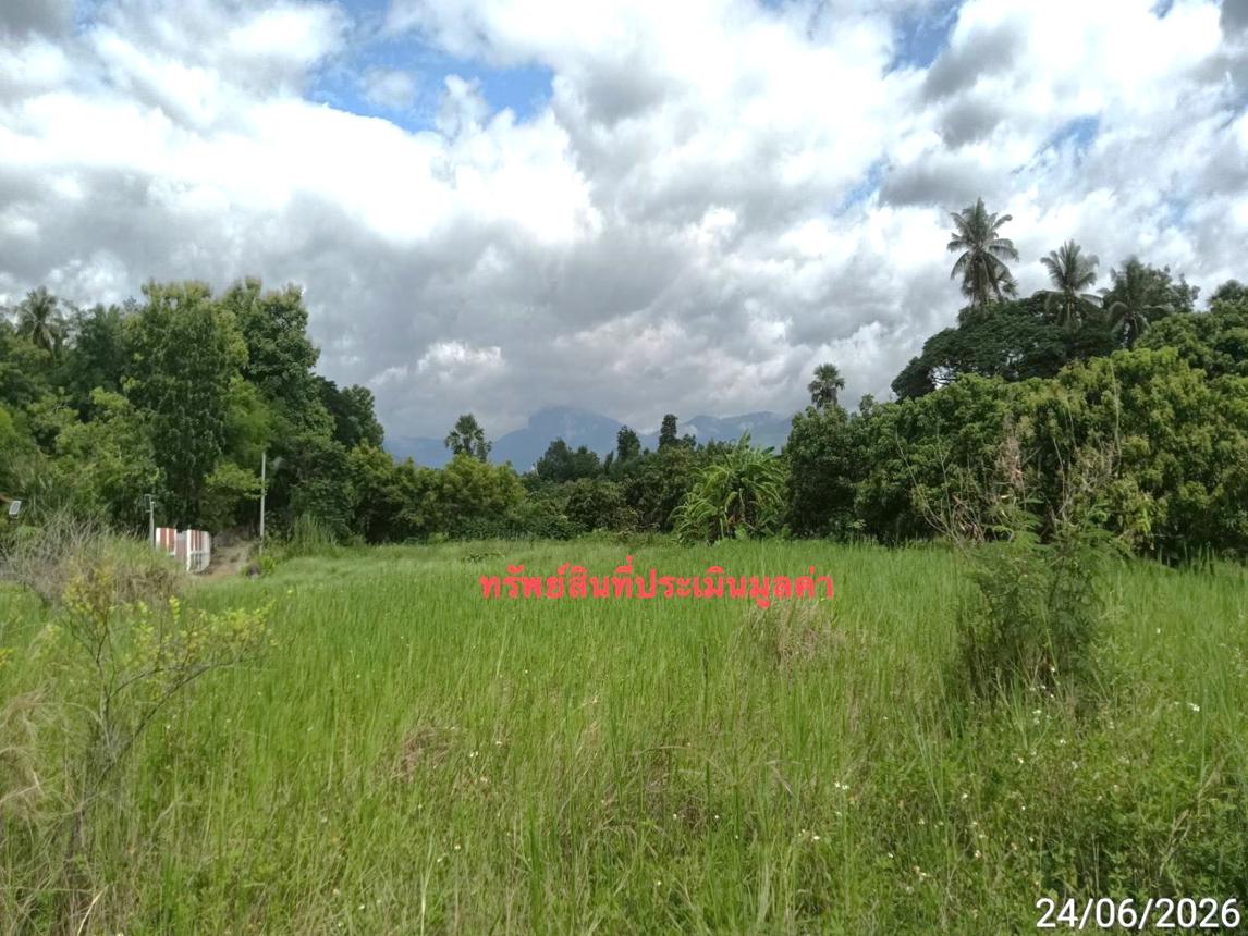 รูป ที่ดินว่างเปล่า 2515 ตร.วา จอมทอง เชียงใหม่ 4.2M - รูปที่ 13/21