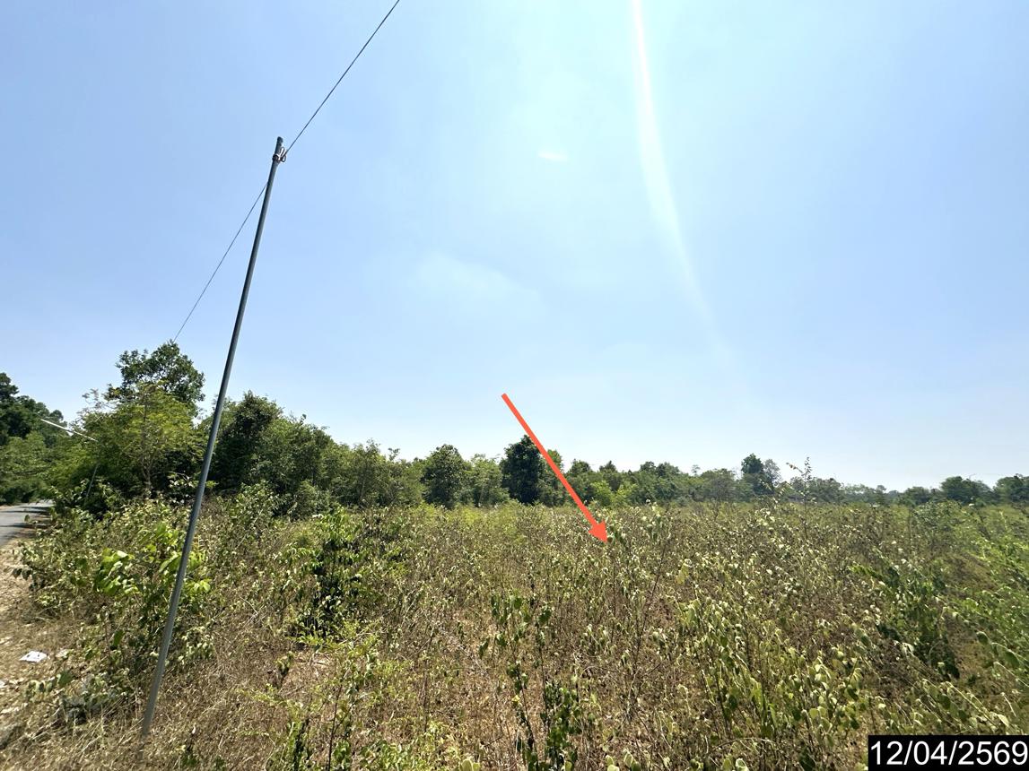 รูป ที่ดินว่างเปล่า 1662.3 ตร.วา เมืองอุบลราชธานี อุบลราชธานี 4.2M - รูปที่ 12/17