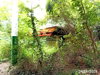 listing thumbnail image 33