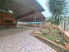 listing thumbnail image 17