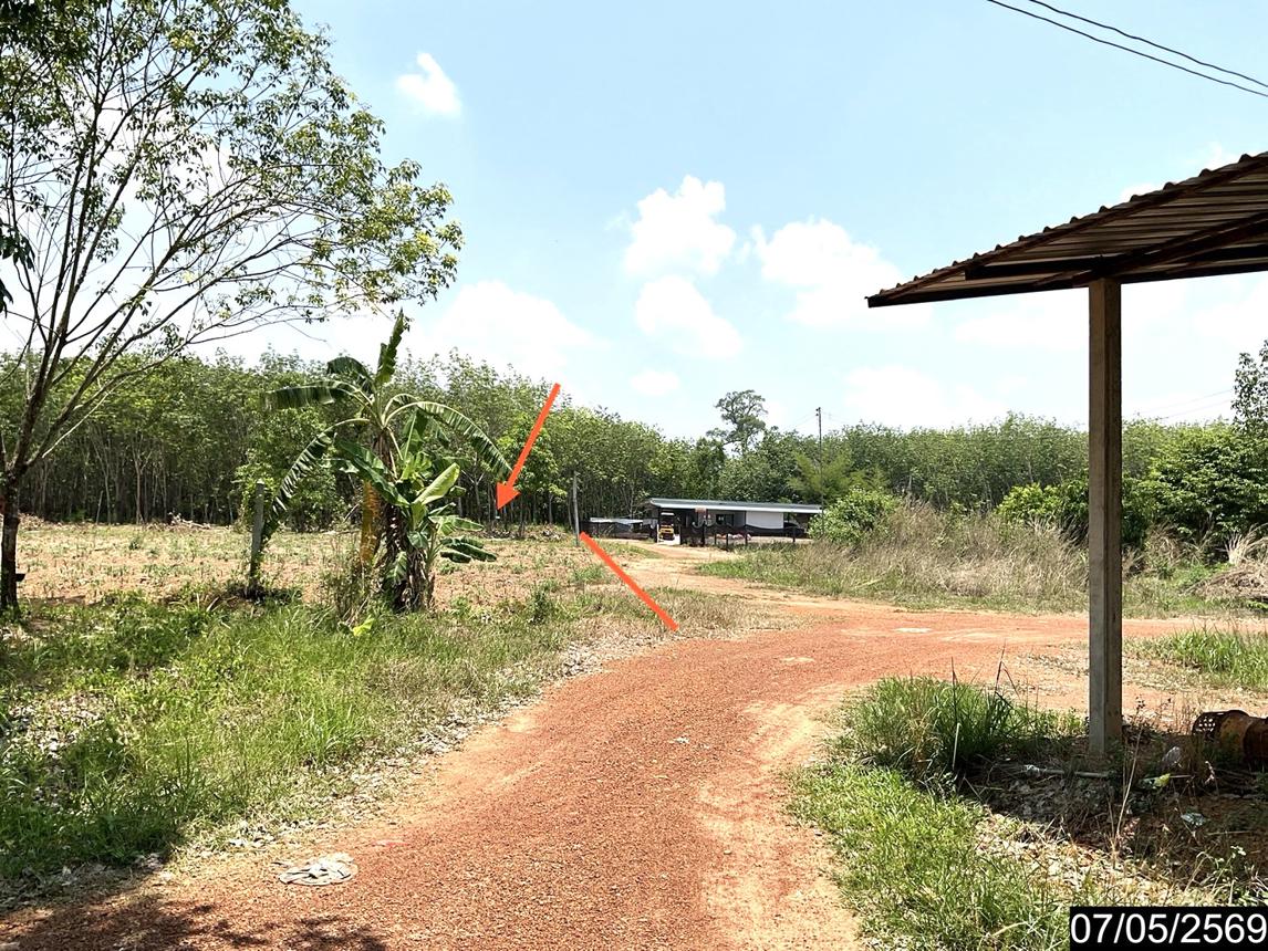 รูป ที่ดินว่างเปล่า 8400 ตร.วา ศรีวิไล บึงกาฬ 2.2M - รูปที่ 20/25